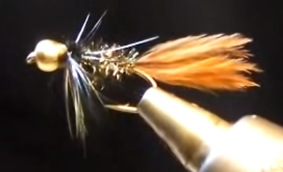 Bead-headed Carp Fly