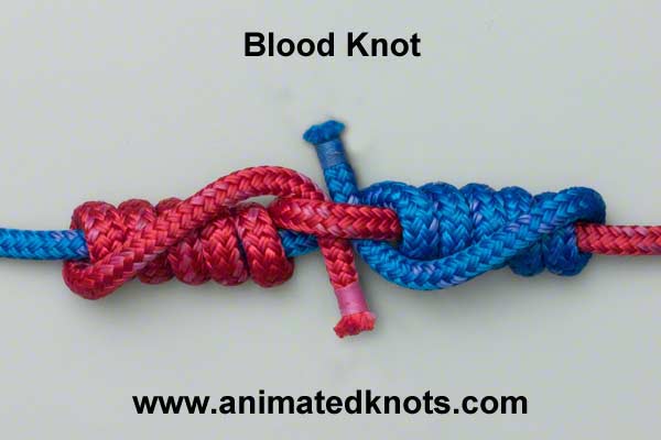 blood knot