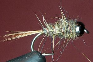 Hare and copper nymph