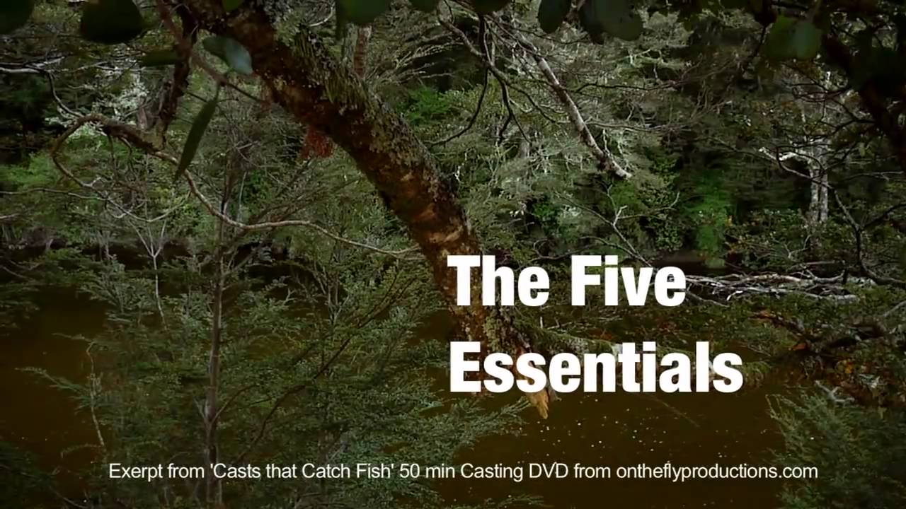 The five essentials - excerpt from "Casts that Catch Fish"