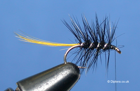 palmering hackles