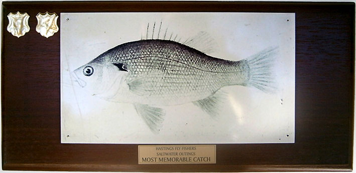 Most Memorable Catch - Saltwater