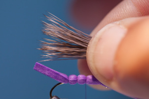 Tie in stacked deer hair with 4-5 firm wraps of thread.Tie in stacked deer hair with 4-5 firm wraps of thread.