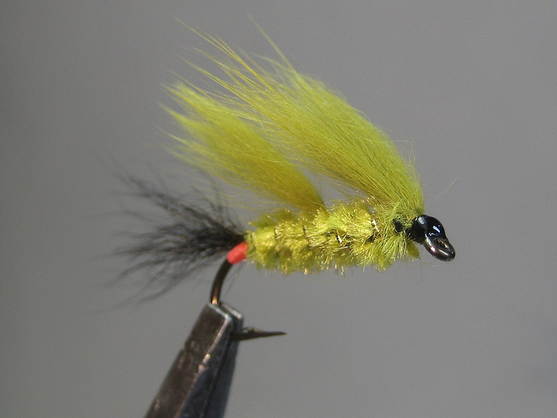 Tom Jones, finished 2