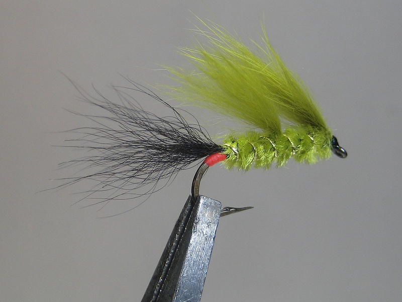 Tom Jones, finished 1