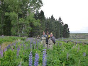 Checking out a wee creek
