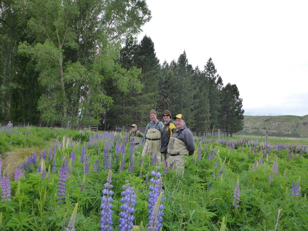 Checking out a wee creek