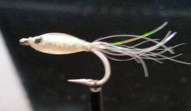 Dawn's friend's white bait fly