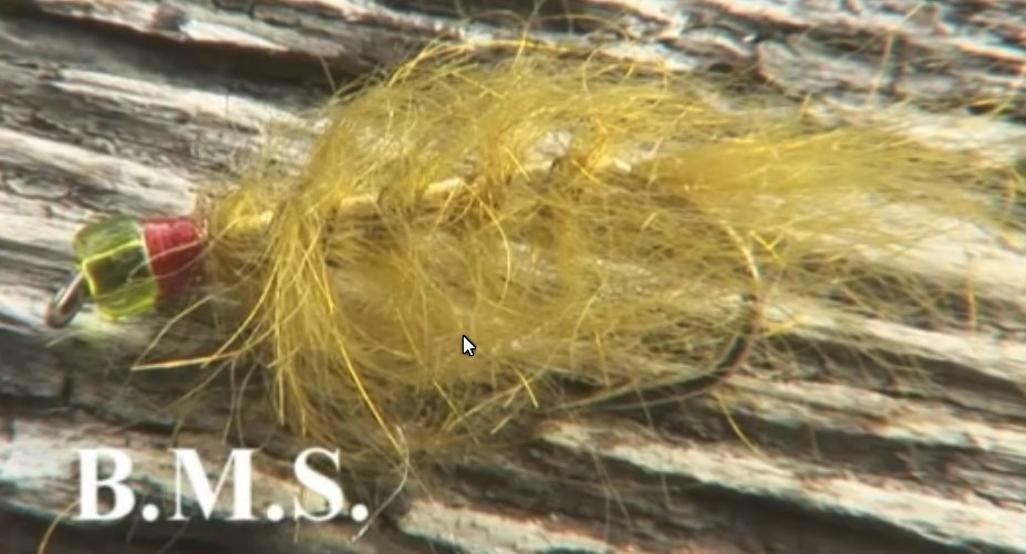 Muz Wilson "Bullen Merri Special"