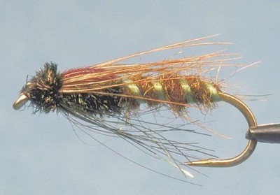 Brian Chan Stillwater Caddis Pupa