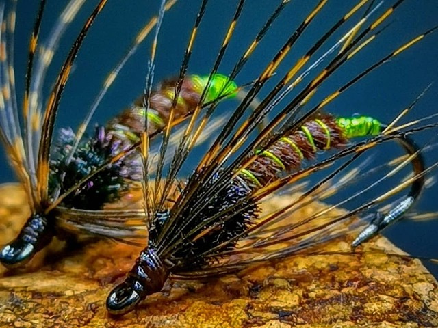 Green Haze Soft Hackle Caddis Pupae