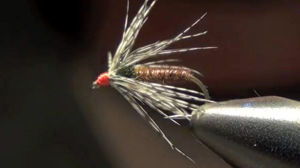 Soft Hackle PTN