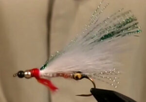 Drop nose minnow