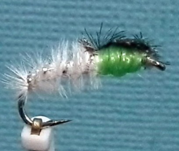 Unnamed mullet fly