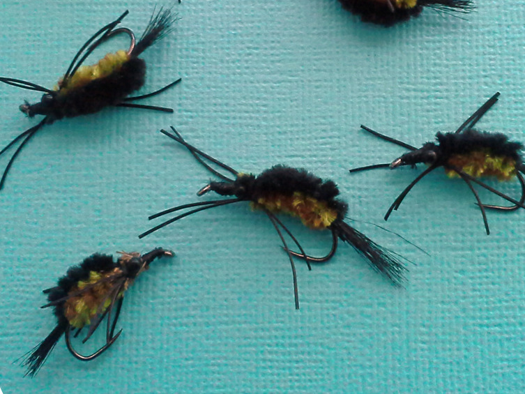 Paul Fedeles' green mudeye variant