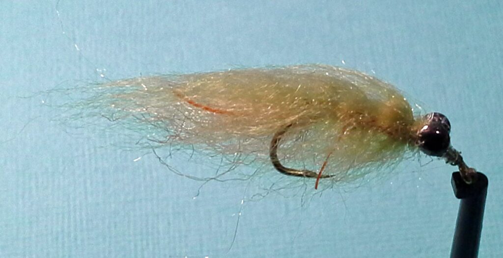 Muz Wilson Hammerhead