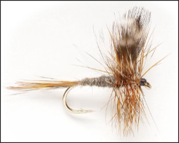 Dry flies float to represent adult insects riding on the surface.