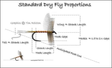 Standrd dry fly proportions