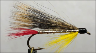 Streamers are sinking flies that represent baitfish, crayfish, shrimp, or leeches.