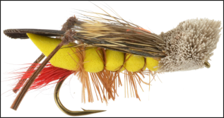 Terrestrials represent ground insects that are swept into the water.