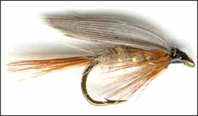 Wet flies are sinking flies that represent adult insects swept under the surface.