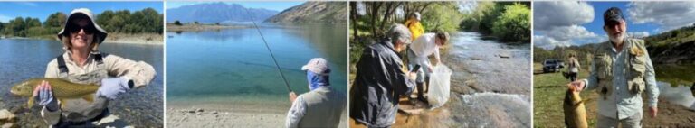 Escape article images