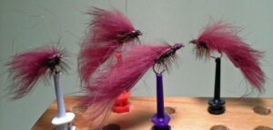 Fed's Rabbitt Zonkers