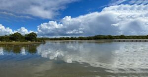 South West Rocks 28 April