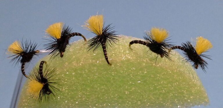 Bassano Klinkhammer - Fed's Variant