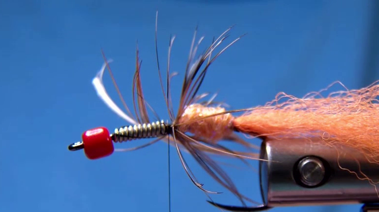 Tie in orange crystal chenille and wrap a small egg case. Tie in Malleefowl feather and make 2–3 soft hackle wraps.