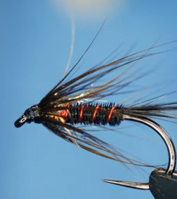 Fed's Cruncher variant