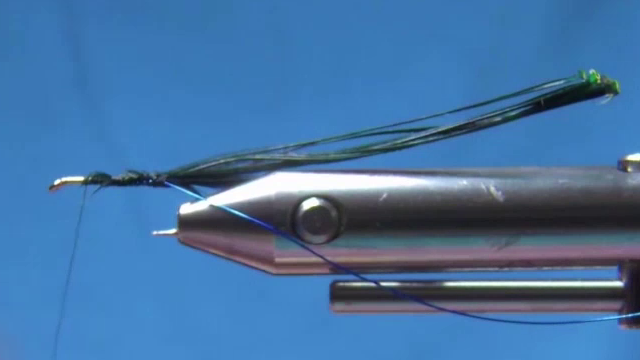 Coloured wire secured to hook and pheasant tail fibres tied in by the tips