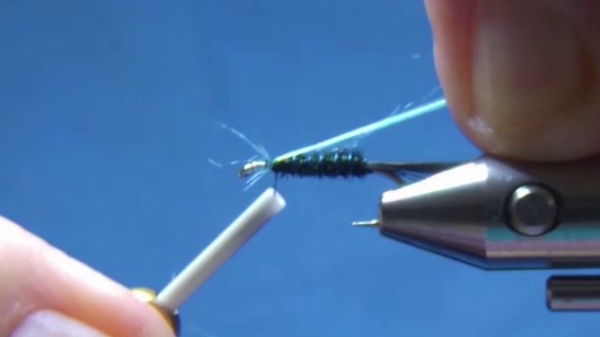 Pheasant tail wrapped forward to form body and wire reverse-ribbed over it.