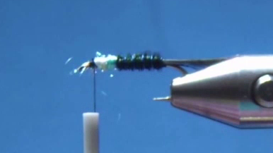 Floss tied in on levelled thread base and thorax wrapped to size