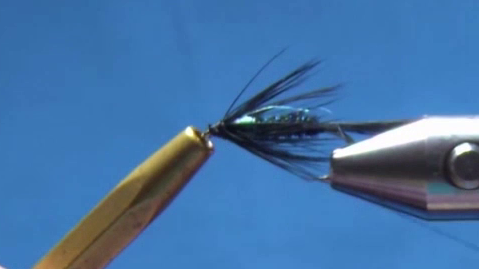 Crystal flash tied in and wrapped to create a collar, hen hackle tied by the tips.