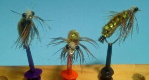 Fed's Guinea Dragon Nymphs