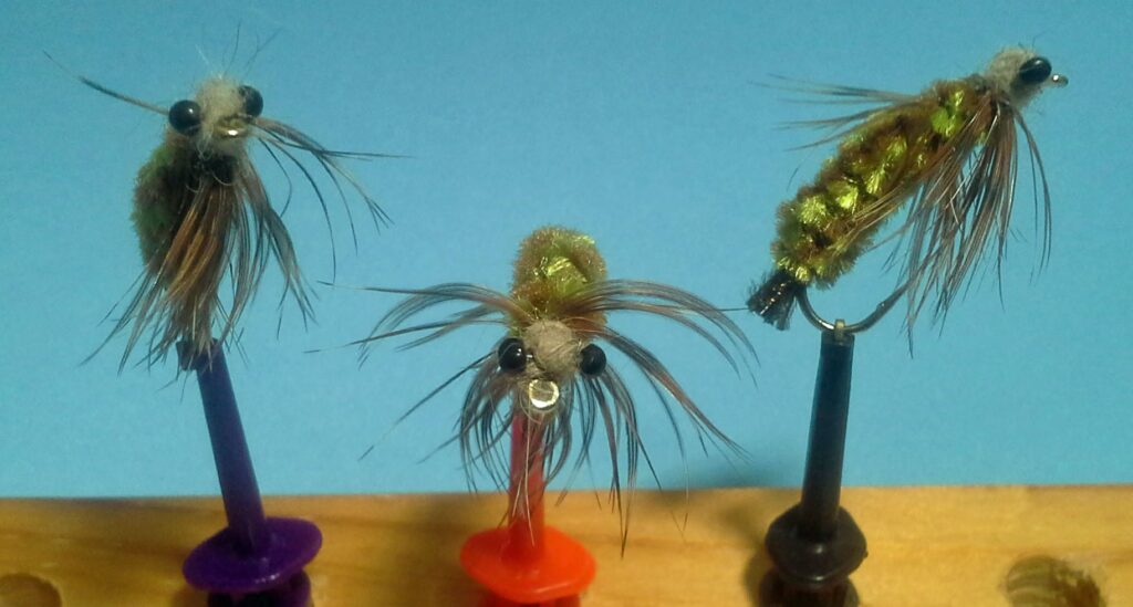 Fed's Guinea Dragon Nymphs