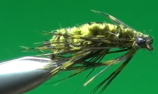 Phil Rowley's original Guinea Dragonfly