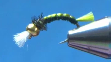 Finished fly with herl tied off, whip finish completed, and thread trimmed.