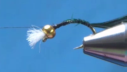 Pheasant tail fibres tied in by the tips and white gills trimmed to the length of the bead.