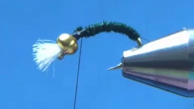 Pheasant tail body wrapped forward with space left behind the bead for the thorax.