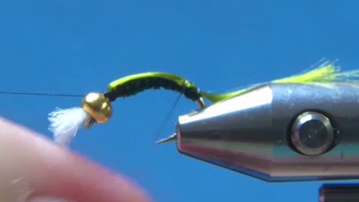 Shellback floss tied in behind the bead and folded back over the body.