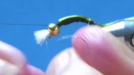 Wire anchored at the rear and first wrap made over floss to secure shellback.