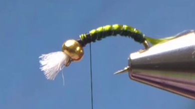 Wire tied off and trimmed, shellback floss also trimmed at the back of the hook.