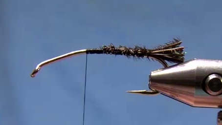 A short peacock herl tail tied in at the rear, shiny green and slightly bushy, forming the tail.