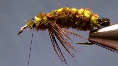 More chenille added in front of the legs, building a thick thorax section, leaving space near the hook eye.