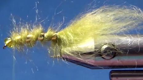 The olive dubbing has been loosely wrapped up the hook shank to form the main body. The gold tinsel is ribbed tightly over the dubbing, creating segmented bands along the fly.