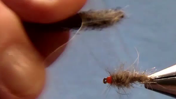 Final fly with teased-out dubbing for a buggy appearance.