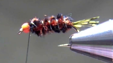 Silver wire counter-wrapped over the chenille body in evenly spaced turns, adding segmentation.