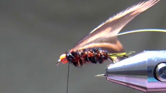 Mallee fowl feather wrapped as a collar behind the bead, creating a soft, swept-back hackle.
